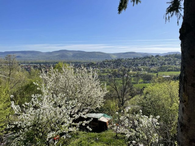 Eladó családi ház, Verőcén 45.9 M Ft, 2+1 szobás