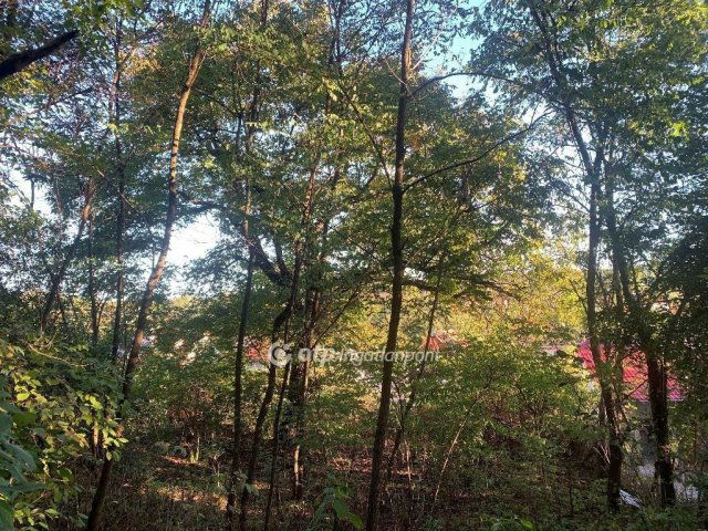 Eladó telek, Egerszalókon 22.6 M Ft / költözzbe.hu