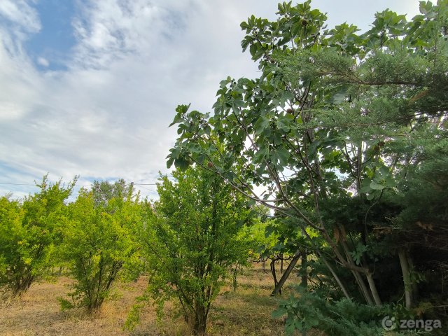 Eladó nyaraló, Zamárdiban 61 M Ft, 1 szobás