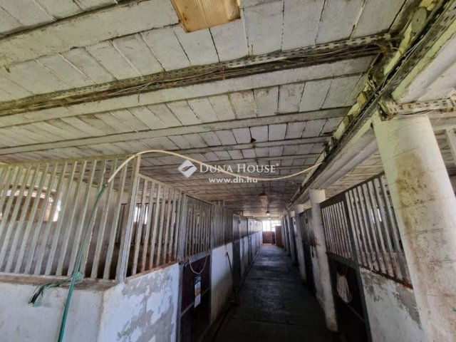 Eladó családi ház, Cegléden 135 M Ft, 1 szobás