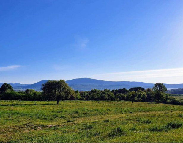 Eladó telek, Solymáron 65.9 M Ft / költözzbe.hu