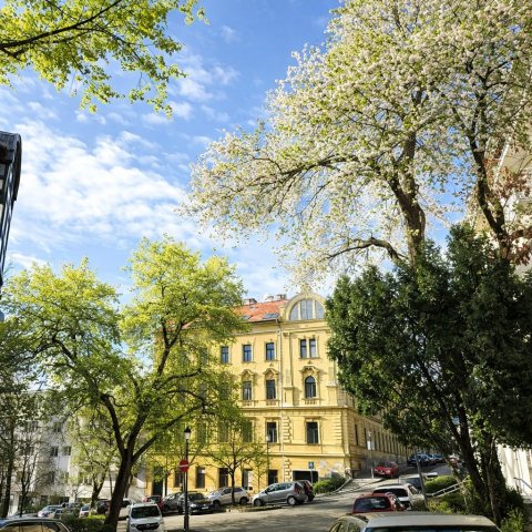 Eladó téglalakás, Budapesten, I. kerületben 65 M Ft, 1 szobás