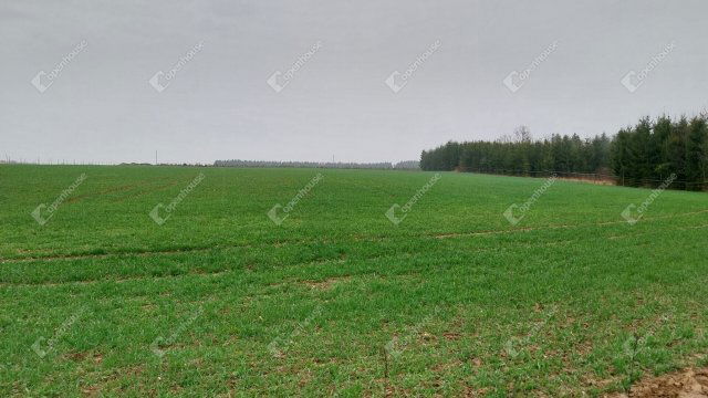 Eladó telek, Hegyhátszentjakabon 10 M Ft / költözzbe.hu