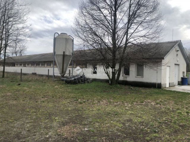 Eladó mezogazdasagi ingatlan, Kecskeméten 79 M Ft