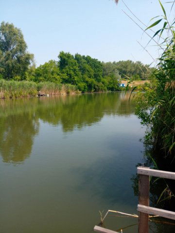 Eladó telek, Gyomaendrődön 7.9 M Ft / költözzbe.hu