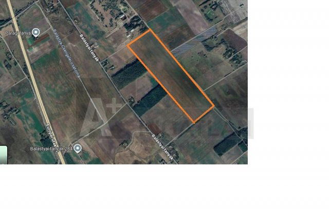 Eladó mezogazdasagi ingatlan, Balástyán 50 M Ft