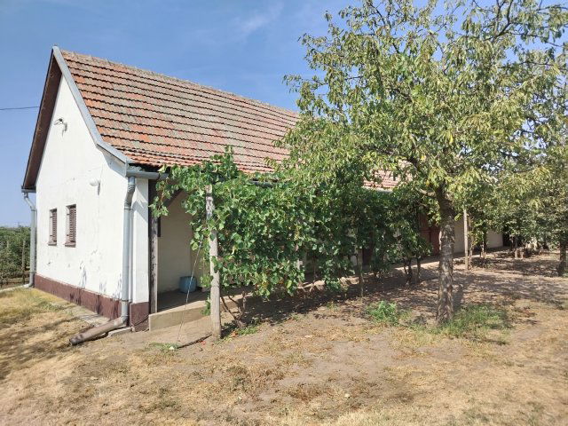 Eladó mezogazdasagi ingatlan, Jánoshalmán 13.5 M Ft