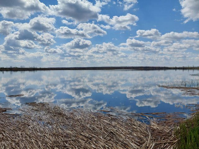 Eladó mezogazdasagi ingatlan, Gyulán 69.5 M Ft