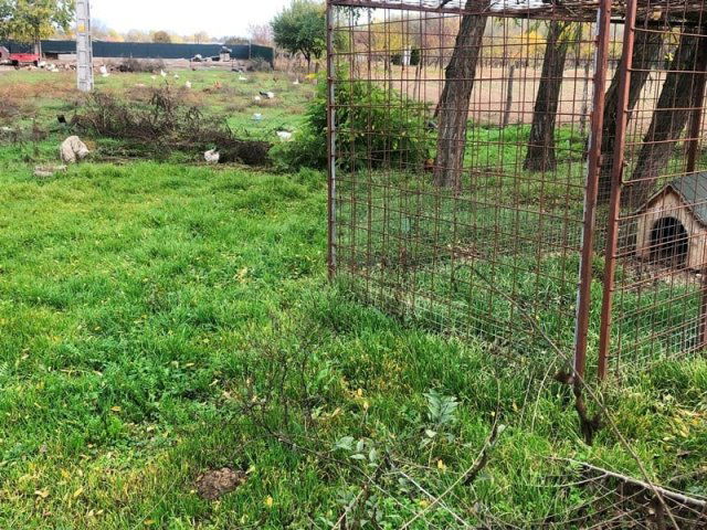 Eladó telek, Dabason 8.9 M Ft / költözzbe.hu