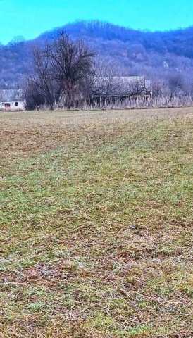 Eladó családi ház, Hosszúhetényen 12 M Ft, 1+1 szobás