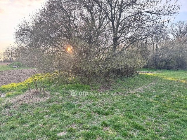 Eladó telek, Vadosfán 9 M Ft / költözzbe.hu