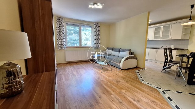 Kiadó téglalakás, albérlet, Szegeden, Borbás utcában, 2 szobás