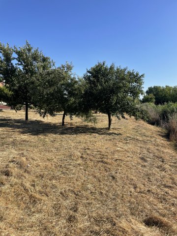 Eladó telek, Abonyban 5 M Ft / költözzbe.hu