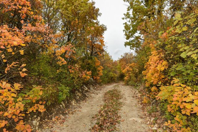 Eladó telek, Pécselyen 24.99 M Ft / költözzbe.hu