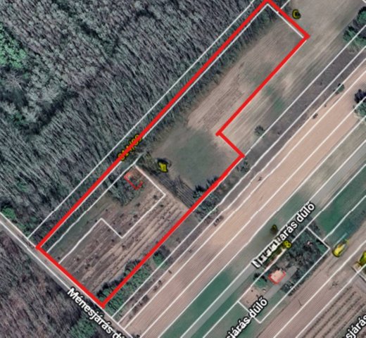 Eladó mezogazdasagi ingatlan, Zsombón 9.9 M Ft
