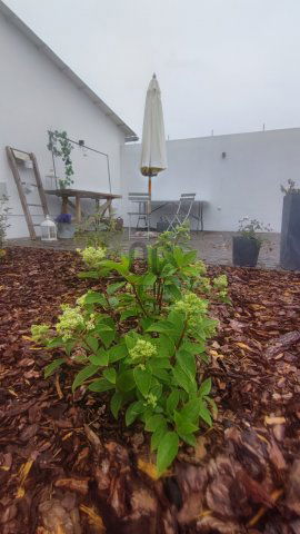 Eladó családi ház, Jakabszálláson 160 M Ft, 2 szobás