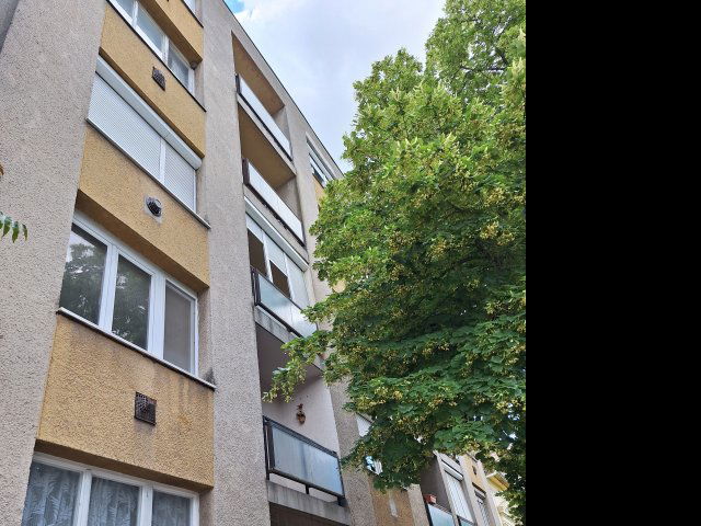 Eladó téglalakás, Szegeden, Boldogasszony sugárúton 44 M Ft