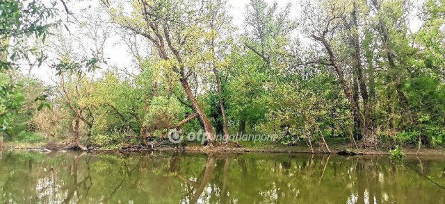 Eladó telek, Győrött 19.9 M Ft / költözzbe.hu