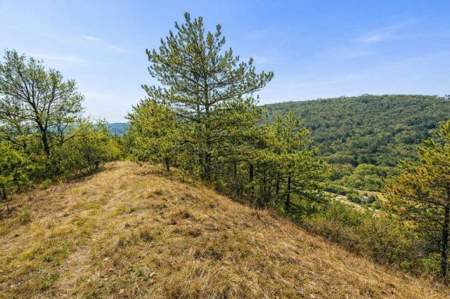 Eladó telek, Kincsesbányán 49 M Ft / költözzbe.hu