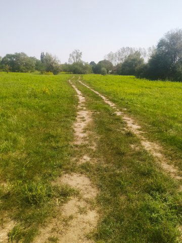 Eladó telek, Szigetszentmiklóson 20 M Ft / költözzbe.hu