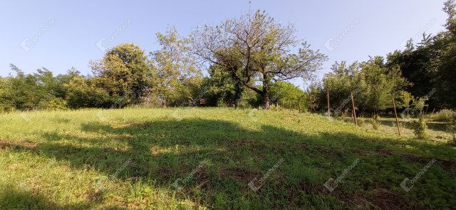 Eladó telek, Zalaegerszegen 7.5 M Ft / költözzbe.hu