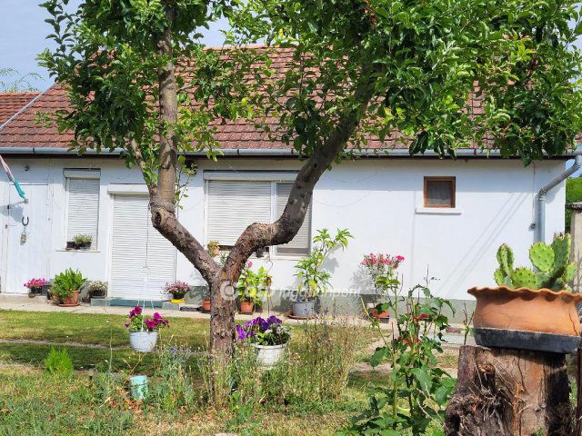 Eladó családi ház, Enyingen 32.5 M Ft, 3 szobás