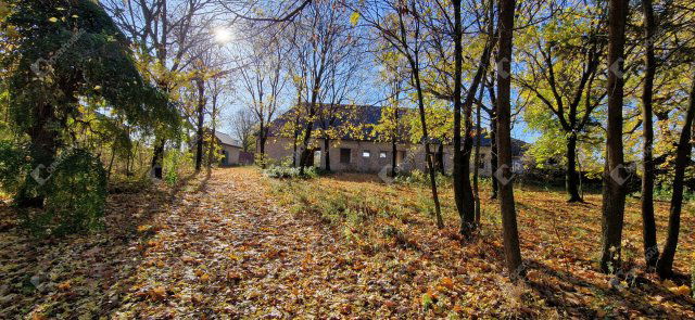 Eladó családi ház, Bőnyön 69 M Ft, 6 szobás