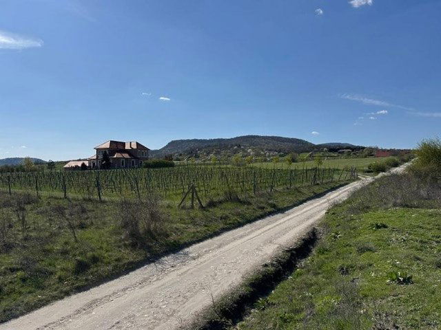 Eladó telek, Szentendrén 16.9 M Ft / költözzbe.hu