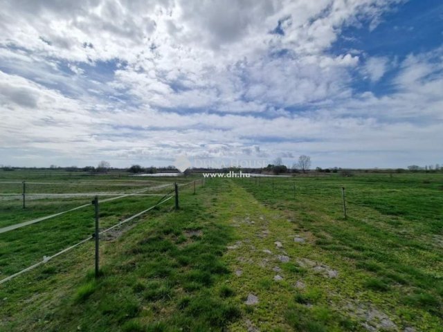 Eladó családi ház, Cegléden 135 M Ft, 1 szobás