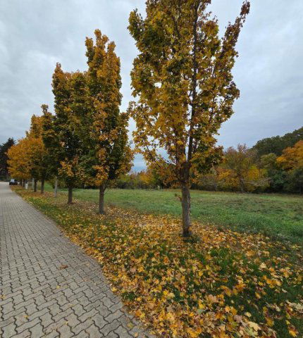 Eladó telek, Balatonföldváron 425 M Ft / költözzbe.hu