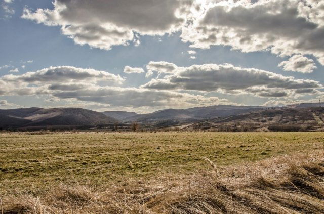 Eladó mezogazdasagi ingatlan, Erdőbényén 36 M Ft