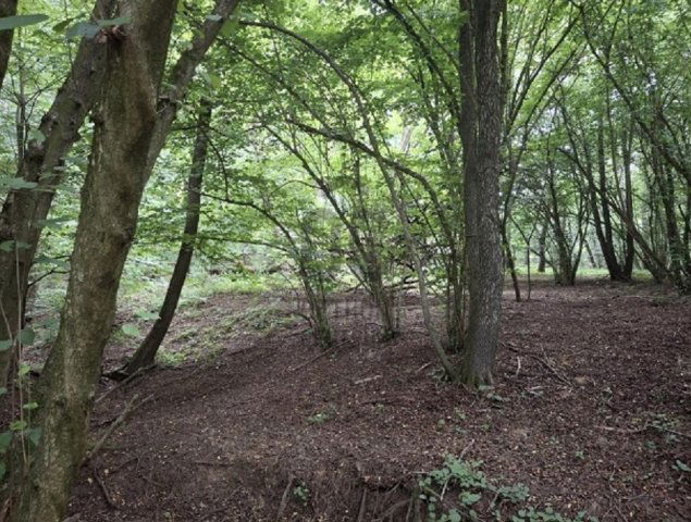 Eladó telek, Gosztolán 5.99 M Ft / költözzbe.hu