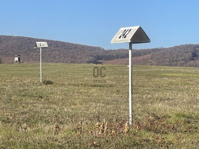 Eladó mezogazdasagi ingatlan, Kosdon 59 M Ft / költözzbe.hu