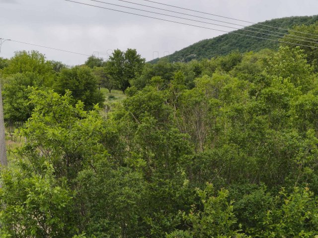 Eladó telek, Csókakőn 16.5 M Ft / költözzbe.hu