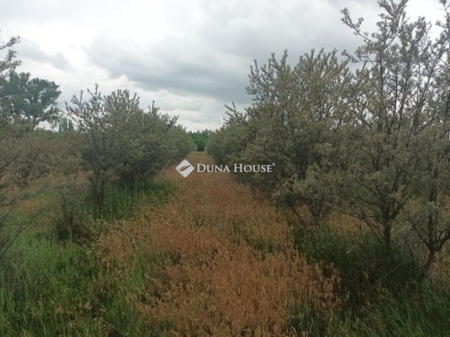 Eladó mezogazdasagi ingatlan, Hernádon 8 M Ft