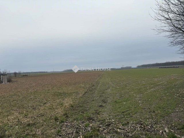 Eladó telek, Téten 15 M Ft / költözzbe.hu