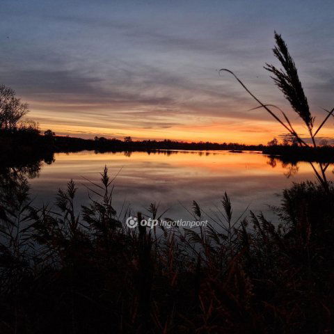 Eladó nyaraló, Délegyházán 55 M Ft, 1+1 szobás