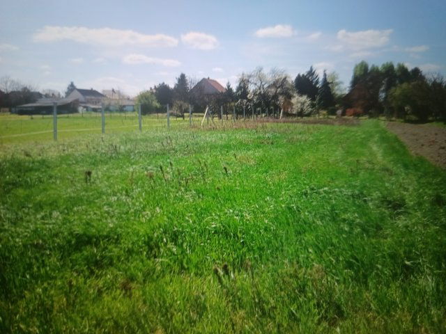 Eladó telek, Tökölön 8 M Ft / költözzbe.hu