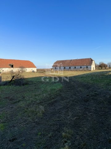 Eladó mezogazdasagi ingatlan, Sárbogárdon 125 M Ft