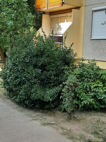 Eladó panellakás, Debrecenben 55 M Ft, 2 szobás