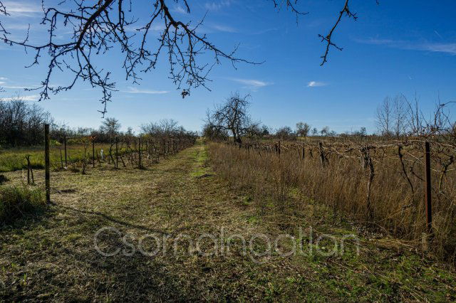 Eladó telek, Mórichidán 4.5 M Ft / költözzbe.hu