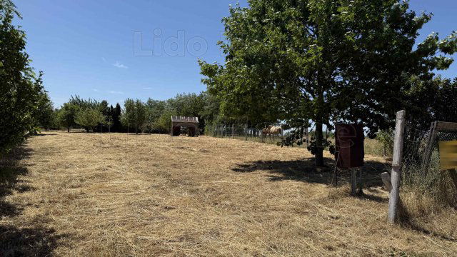 Eladó telek, Felsőpáhokon 12 M Ft / költözzbe.hu