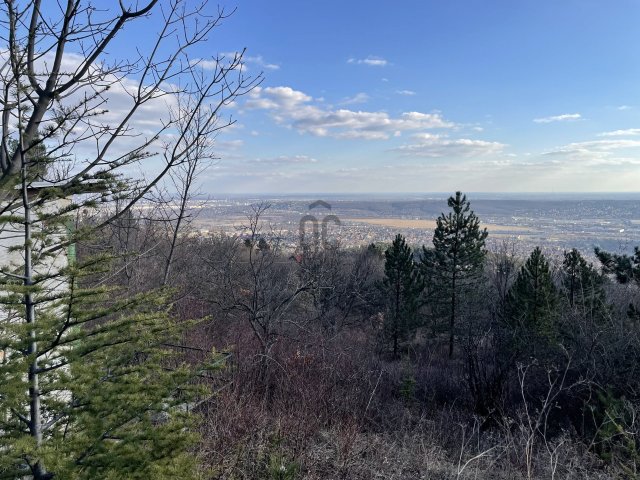 Eladó telek, Budaörsön, Őzike utcában 79.9 M Ft
