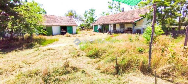 Eladó mezogazdasagi ingatlan, Pusztaszeren 32 M Ft, 5 szobás