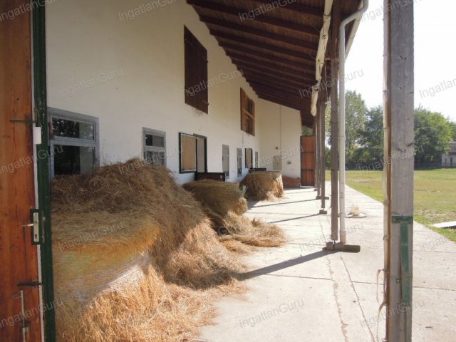 Eladó mezogazdasagi ingatlan, Lajosmizsén 307.5 M Ft