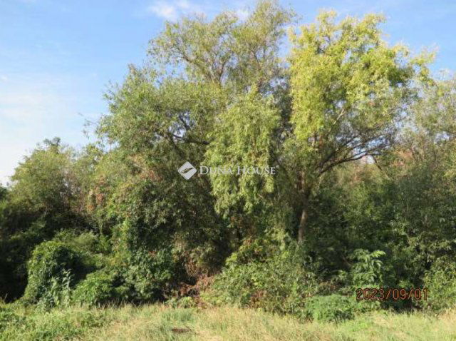 Eladó telek, Kővágószőlősön 34.9 M Ft / költözzbe.hu