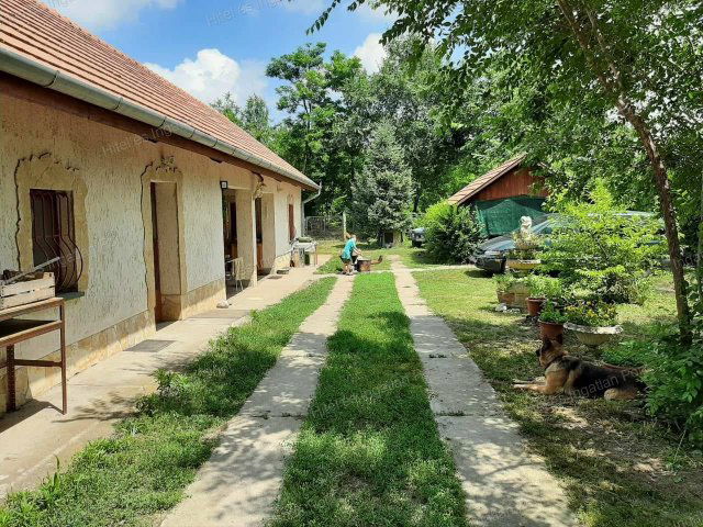Eladó mezogazdasagi ingatlan, Lakitelken 59 M Ft