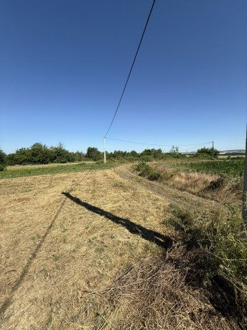Eladó nyaraló, Bicskén 13.9 M Ft, 1+1 szobás