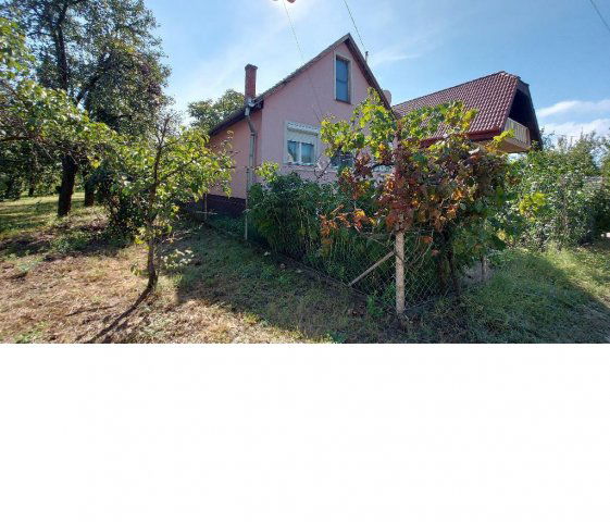 Eladó mezogazdasagi ingatlan, Tiszajenőn 15.9 M Ft, 1 szobás