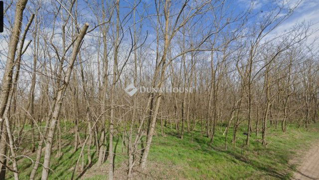 Eladó telek, Lajosmizsén 28.5 M Ft / költözzbe.hu